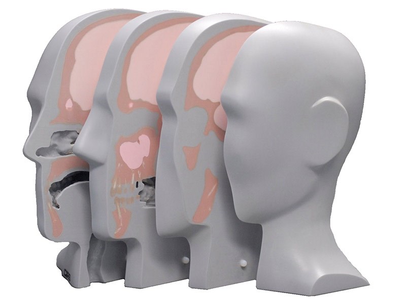Proton Therapy Dose head Phantom model HN-731